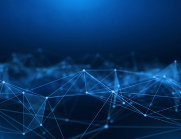 Our Network